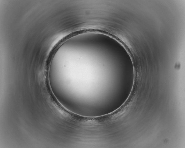 X0000091371119200708101526