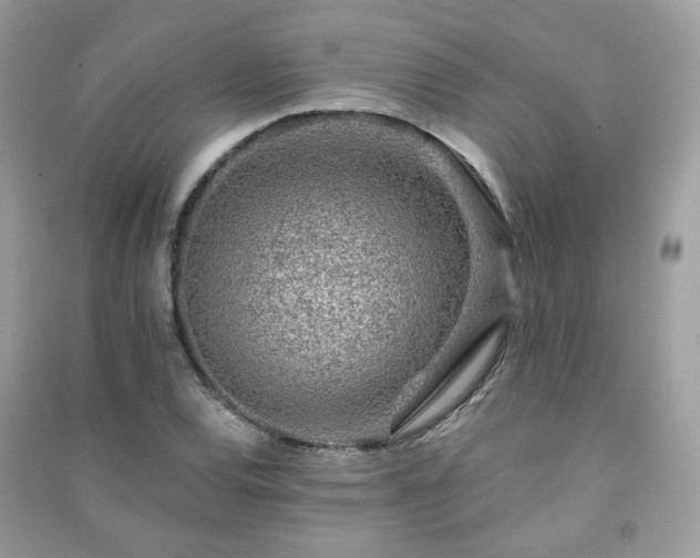 X0000091371120200708101526