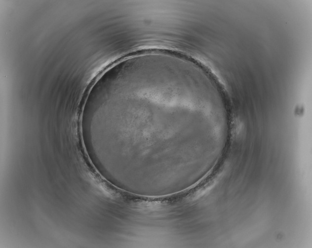 X0000091371121200708101526