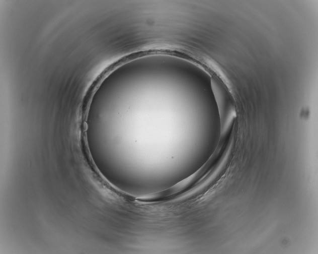 X0000091371124200708101526