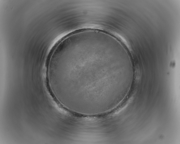 X0000091371125200708101526