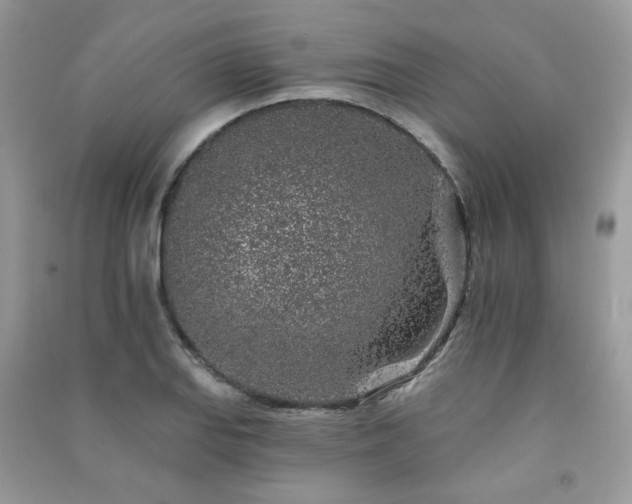 X0000091371127200708101526