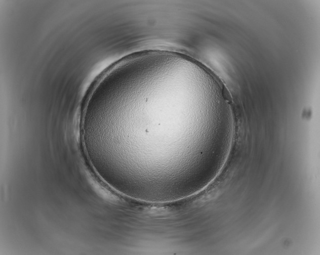 X0000091371128200708101526