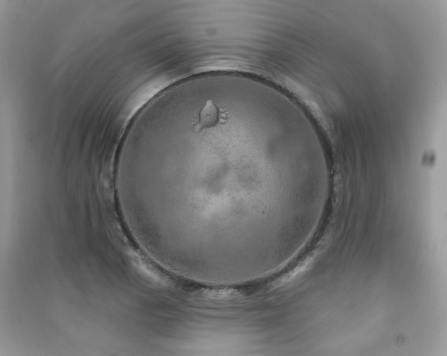 X0000091371129200708101526