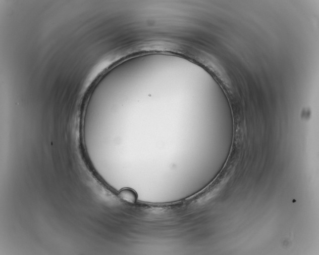 X0000091371130200708101526