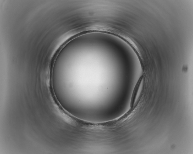 X0000091371131200708101526