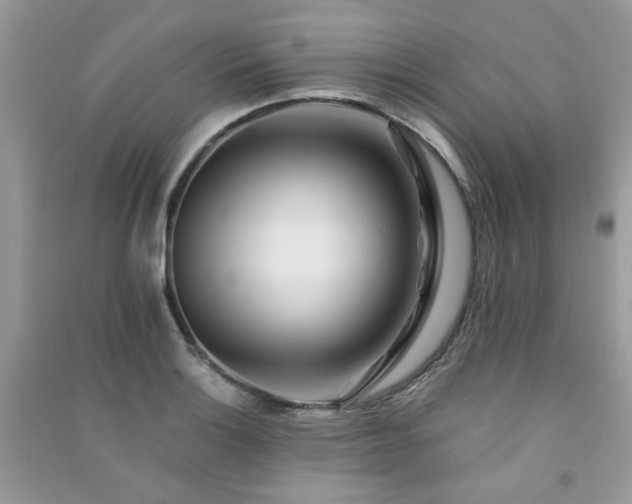 X0000091371132200708101526