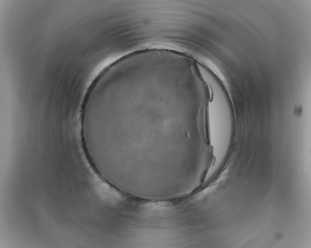 X0000091371133200708101527