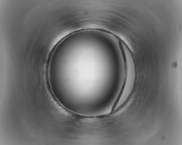 X0000091371134200708101527