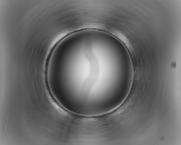 X0000091371135200708101527