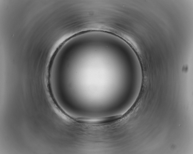 X0000091371136200708101527