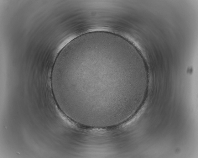 X0000091371137200708101527