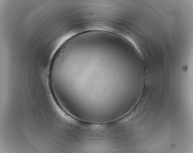 X0000091371139200708101527