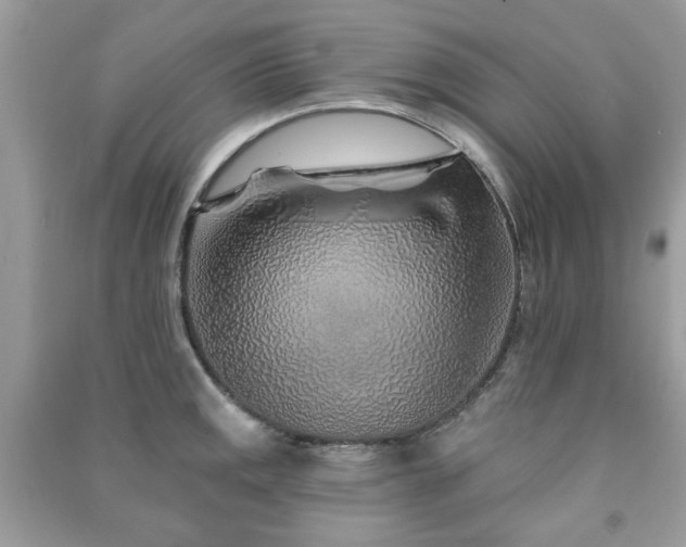 X0000091371141200708101527