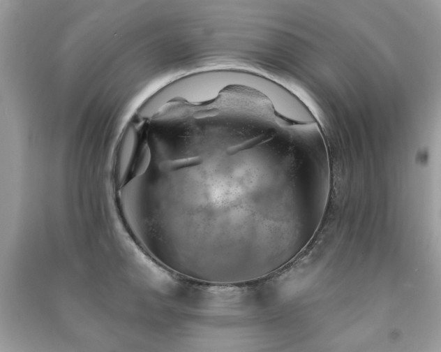 X0000091371142200708101527