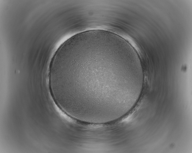 X0000091371143200708101527