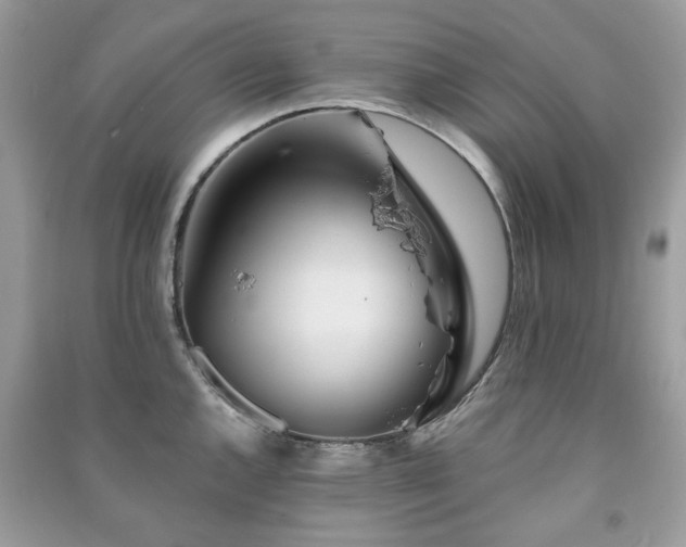 X0000091371144200708101527