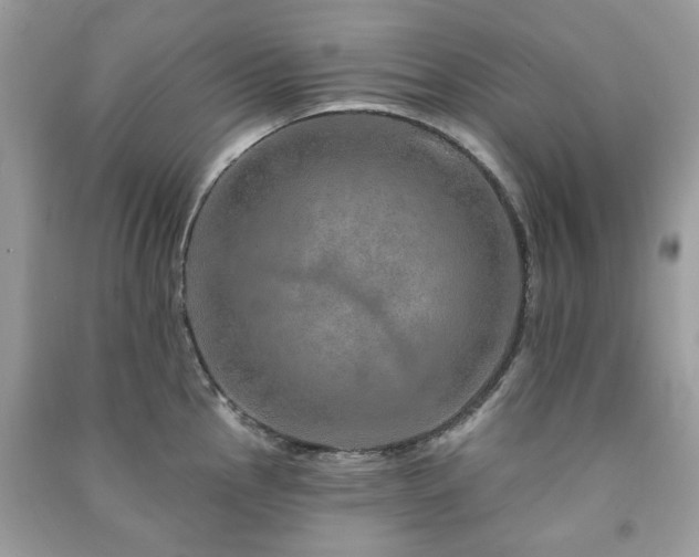 X0000091371145200708101527