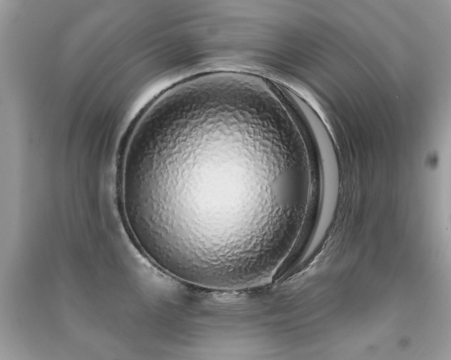 X0000091371147200708101527