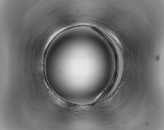 X0000091371148200708101527