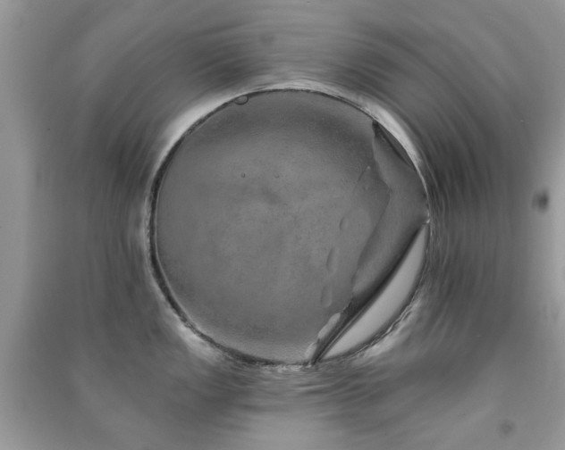 X0000091371149200708101527