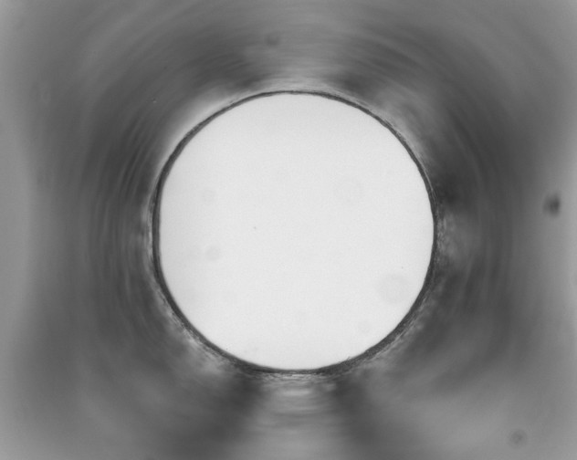 X0000091371150200708101527