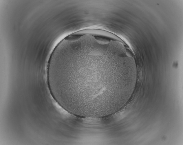 X0000091371151200708101527