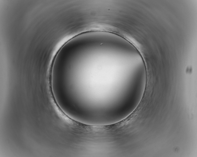 X0000091371152200708101527