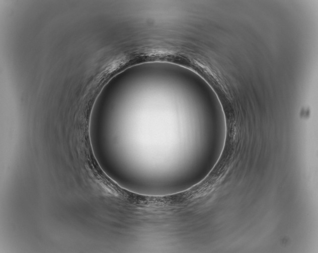 X0000091371153200708101526