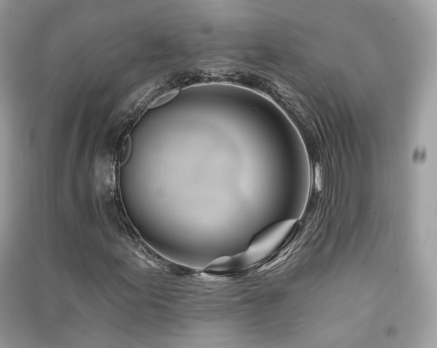 X0000091371155200708101526