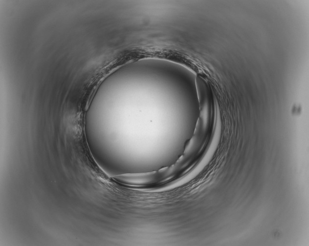 X0000091371156200708101526