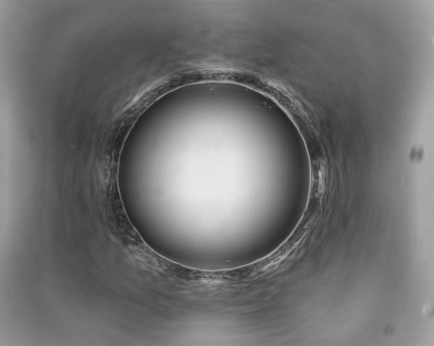 X0000091371157200708101526