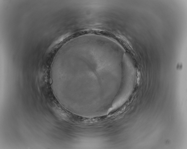 X0000091371159200708101526