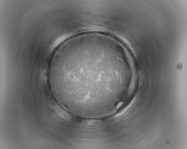 X0000091371163200708101526