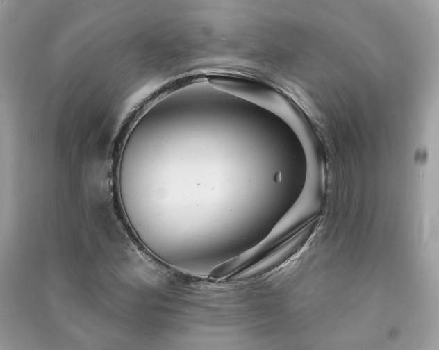 X0000091371164200708101526