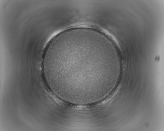 X0000091371166200708101526