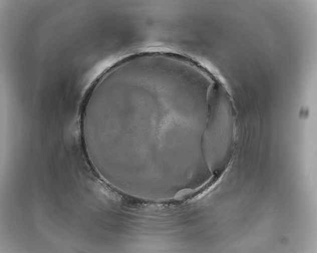 X0000091371167200708101526