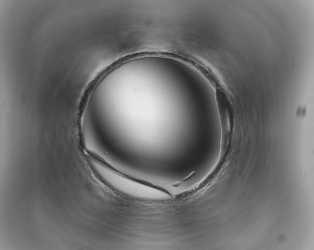 X0000091371168200708101526