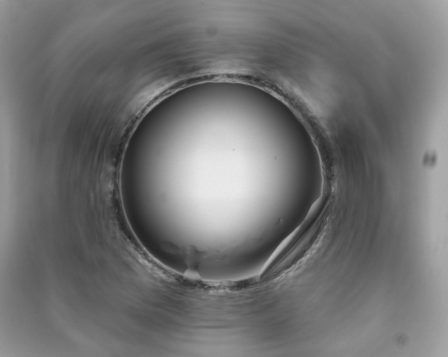 X0000091371169200708101526