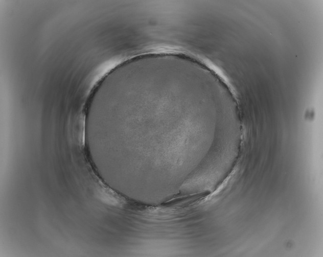 X0000091371171200708101526