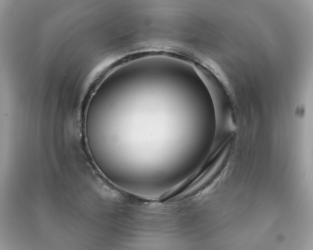 X0000091371172200708101526