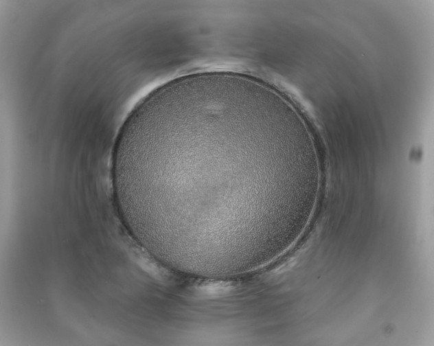 X0000091371174200708101526