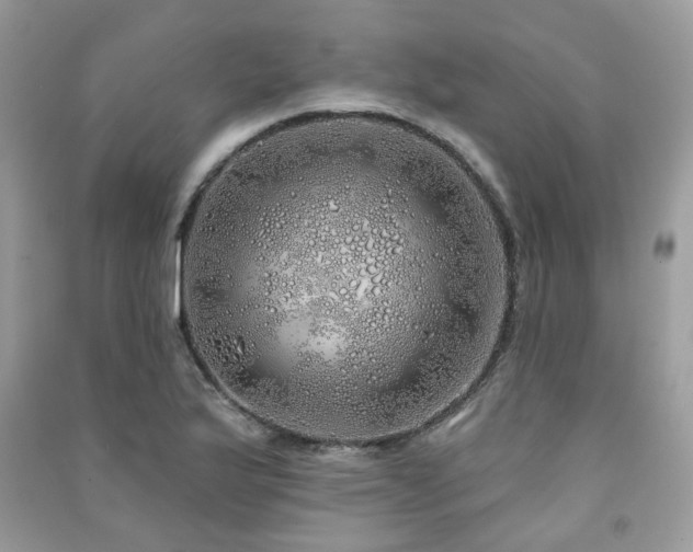 X0000091371175200708101526