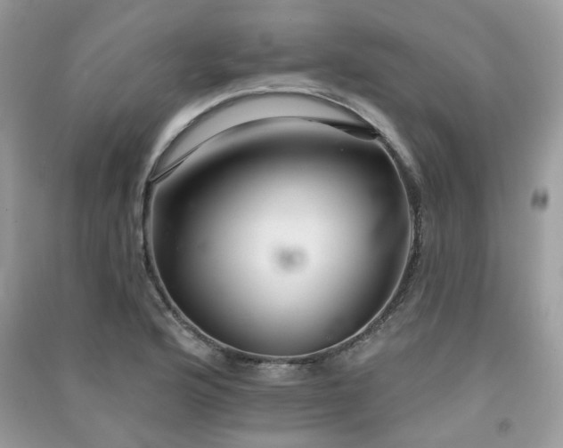 X0000091371176200708101526