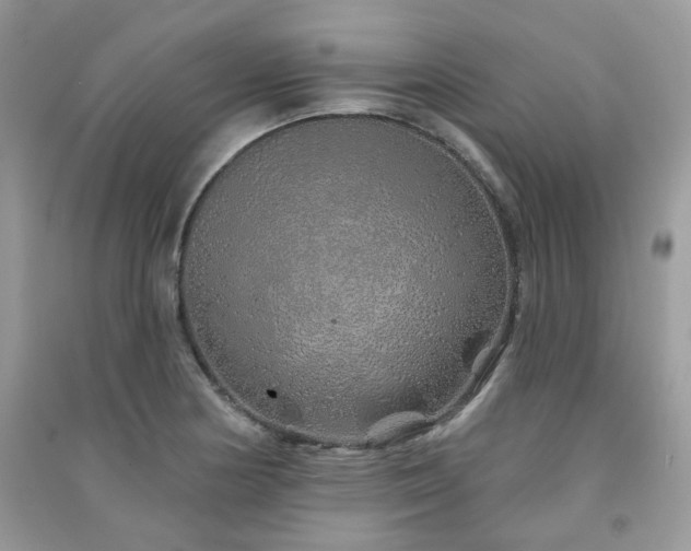 X0000091371178200708101526