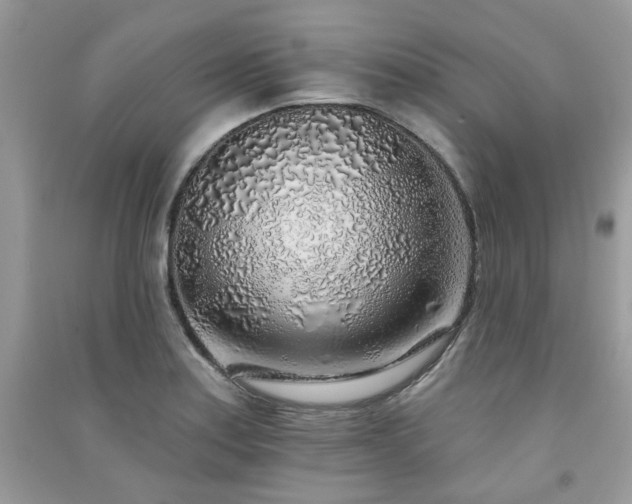 X0000091371179200708101526