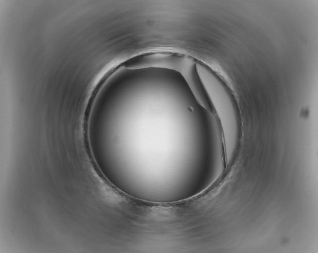 X0000091371181200708101526