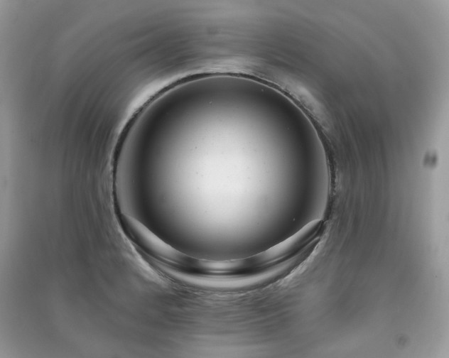 X0000091371184200708101526