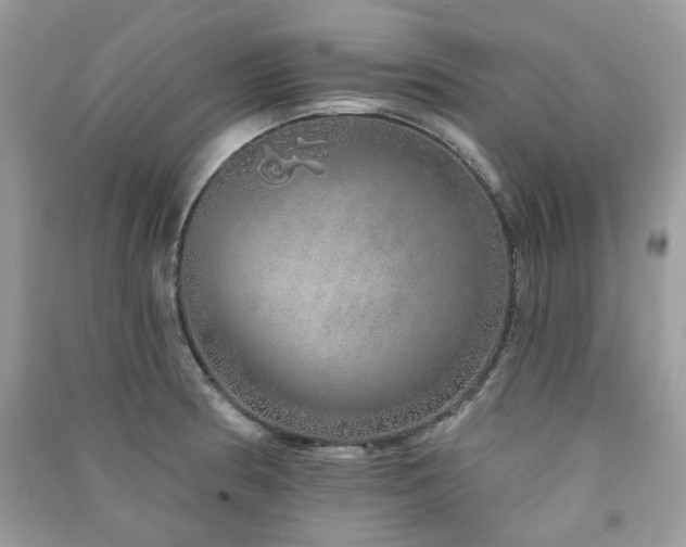 X0000091371186200708101526