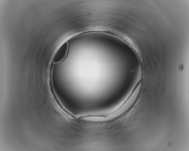 X0000091371187200708101526